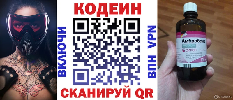 закладки  Торопец  МЕГА как войти  Codein Purple Drank 