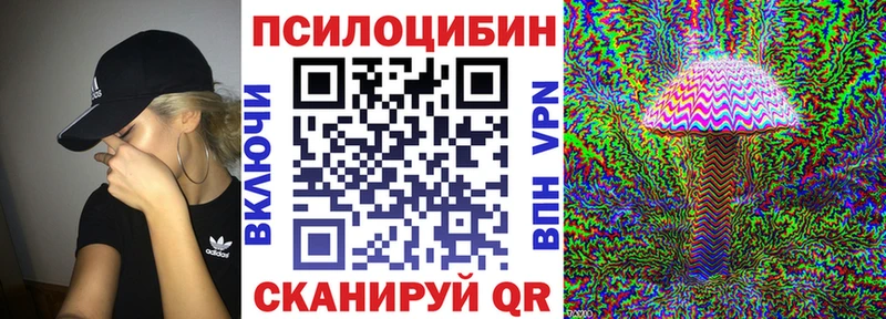 Галлюциногенные грибы Cubensis  как найти   Торопец 